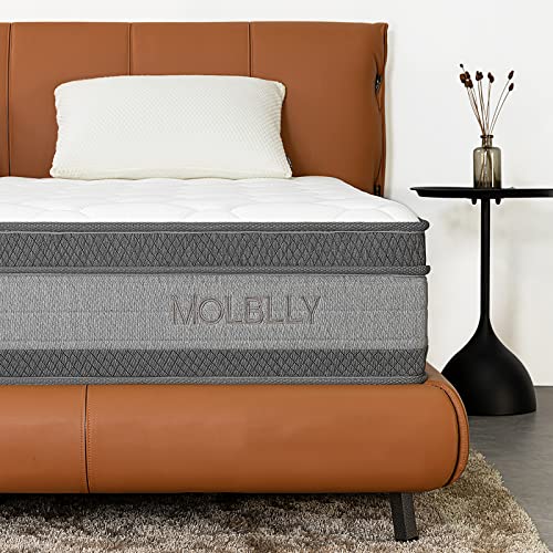Queen Mattress, MOLBLLY 10 Inch Cooling-Gel Memory Foam and Individually Pocket Innerspring Hybrid Mattress